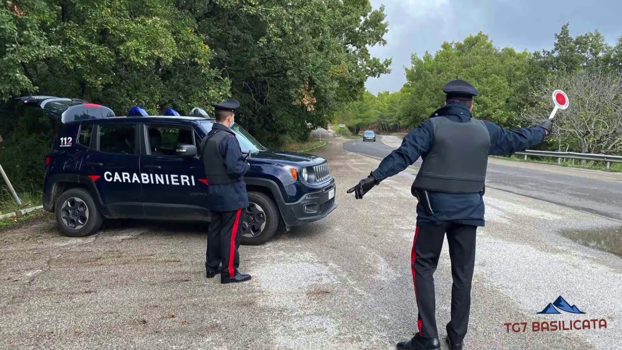 TG7 Basilicata News. Basilicata diventa gialla, Traffico animali domestici, Furto a Pomarico.