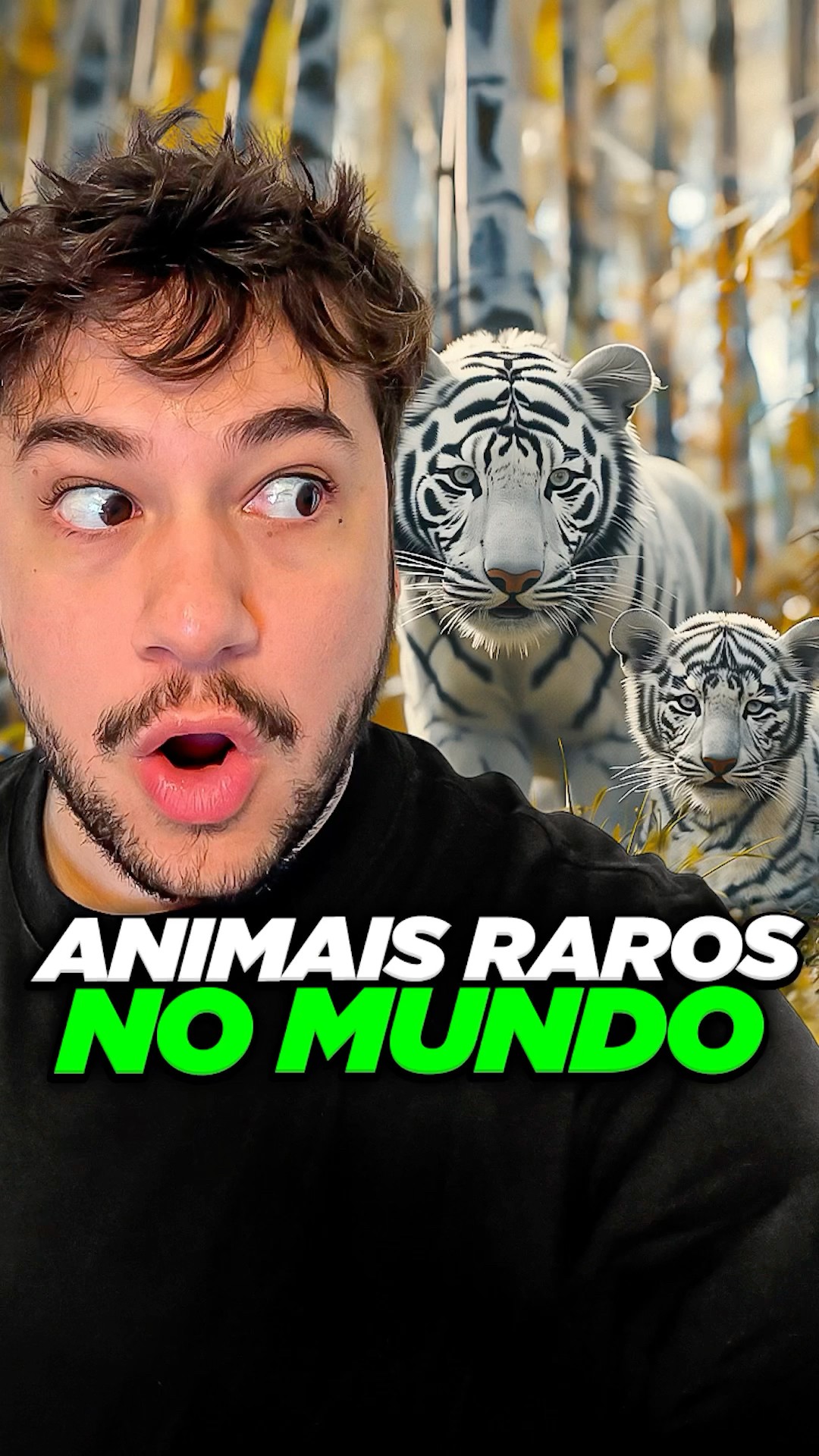 animais raros! #livedobrino #humor #MundinhoBrino