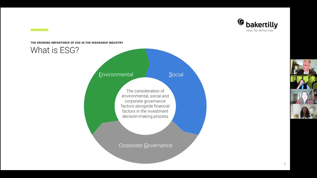 Esg Sustainability