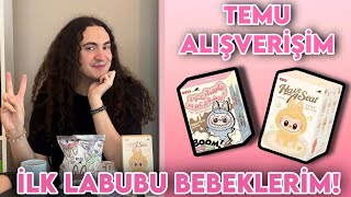 İlk Temu Alışverişim Yeni Labubu Bebeklerim Dayanamadım Yüzlerini Boyadım