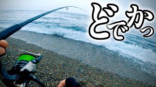 【北海道釣り】大型ミノーを襲った70overのビッグモンスター