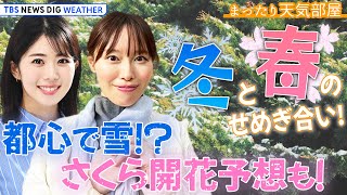 【お天気ライブ】冬と春のせめぎ合い！ 来週は都心で雪!? 最新さくら開花予想も！【まったり天気部屋】（2024年2月16日）| TBS NEWS DIG