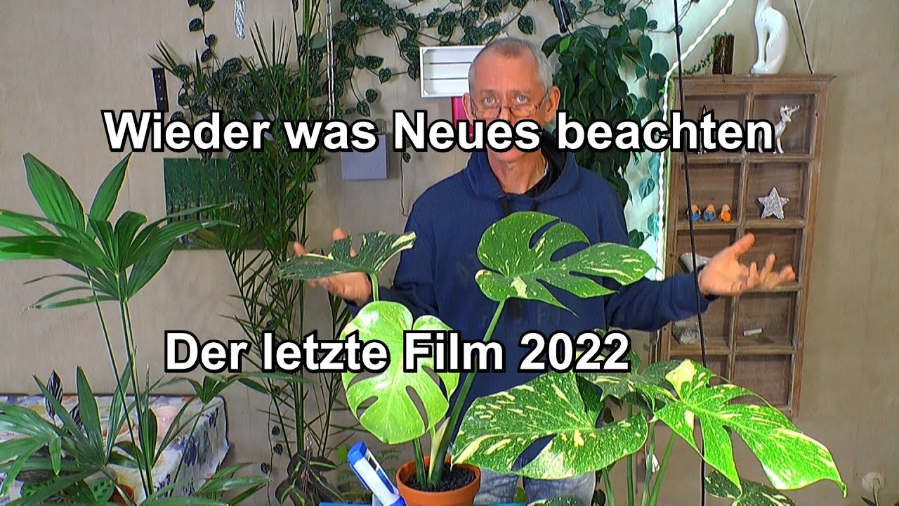Geht jetzt alles kaputt ? Zimmerpflanzen spielen Verrckt aber es gibt was  neues zu Wissen