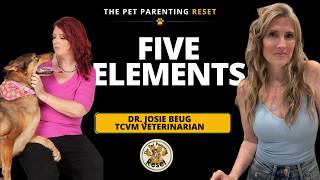 The Five Elements: TCVM's Map for Pet Health