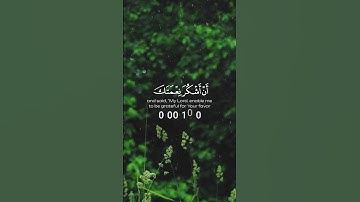 ٤ آيات من سورة النمل | 4 Verses from Surah An-Naml | تلاوة محمد ديبيروف