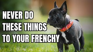 5 Things You must never do to Your French Bulldog