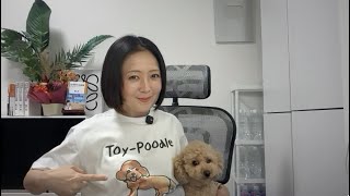 飯山あかりちゃんねるの配信のサムネイル画像