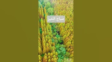 دعاء الصباح#دعاء #صباح_الخير #اسلاميات #اكسبلور #اذكار_الصباح