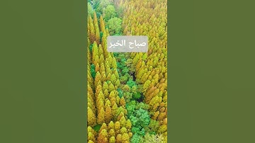 دعاء الصباح#دعاء #صباح_الخير #اسلاميات #اكسبلور #اذكار_الصباح