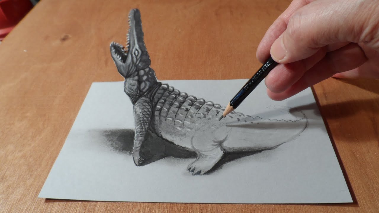 How To Draw Crocodile Drawing 3D Crocodile 3D Trick Art Vamos