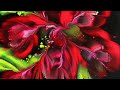 (487)Dip technique, 4 red flower bouquets 20x20cm