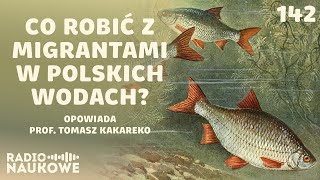 Ryby nasze i obce - cisi mieszkańcy Rzeczypospolitej | prof. Tomasz Kakareko, Michał Mięsikowski