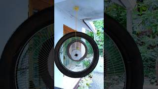 Amazing idea to Make a Birds Cage Using bike tyre and iron net | #shorts