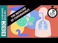 The medicine of coronavirus - 6 Minute English