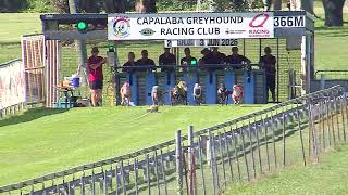 Capalaba-03062026-Race-2