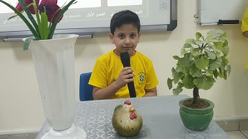 استراتيجية الشيخ الصغير سورة الفجر من الآية ١حتى الآية ١٤