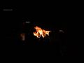 താലപ്പൊലി മഹോത്സവം, കൂടുതൽ വിവരങ്ങൾ Description-ൽ #shorts #viralshorts #pooram #festival #aana