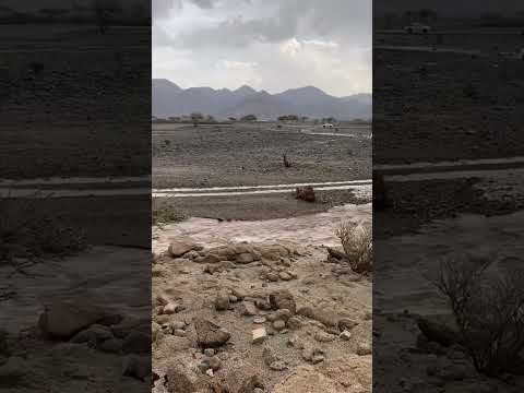 امطار العيص ينبع المدينة ١٤٤٤٥ ٤ ١٣ه
