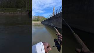 Talking Trash makes it worse #fishing