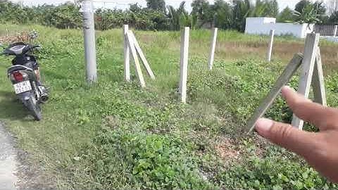 Lô đất thổ cư- mặt nhựa l 112m2 giá 1 tỷ 320 triệu l Mỹ Lộc-Cần Giuộc l 0899489216