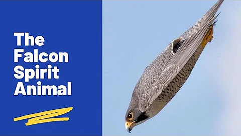 Falkens andliga kraft: En guide till totemdjuret