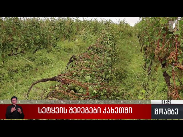 სეტყვის შედეგები კახეთში