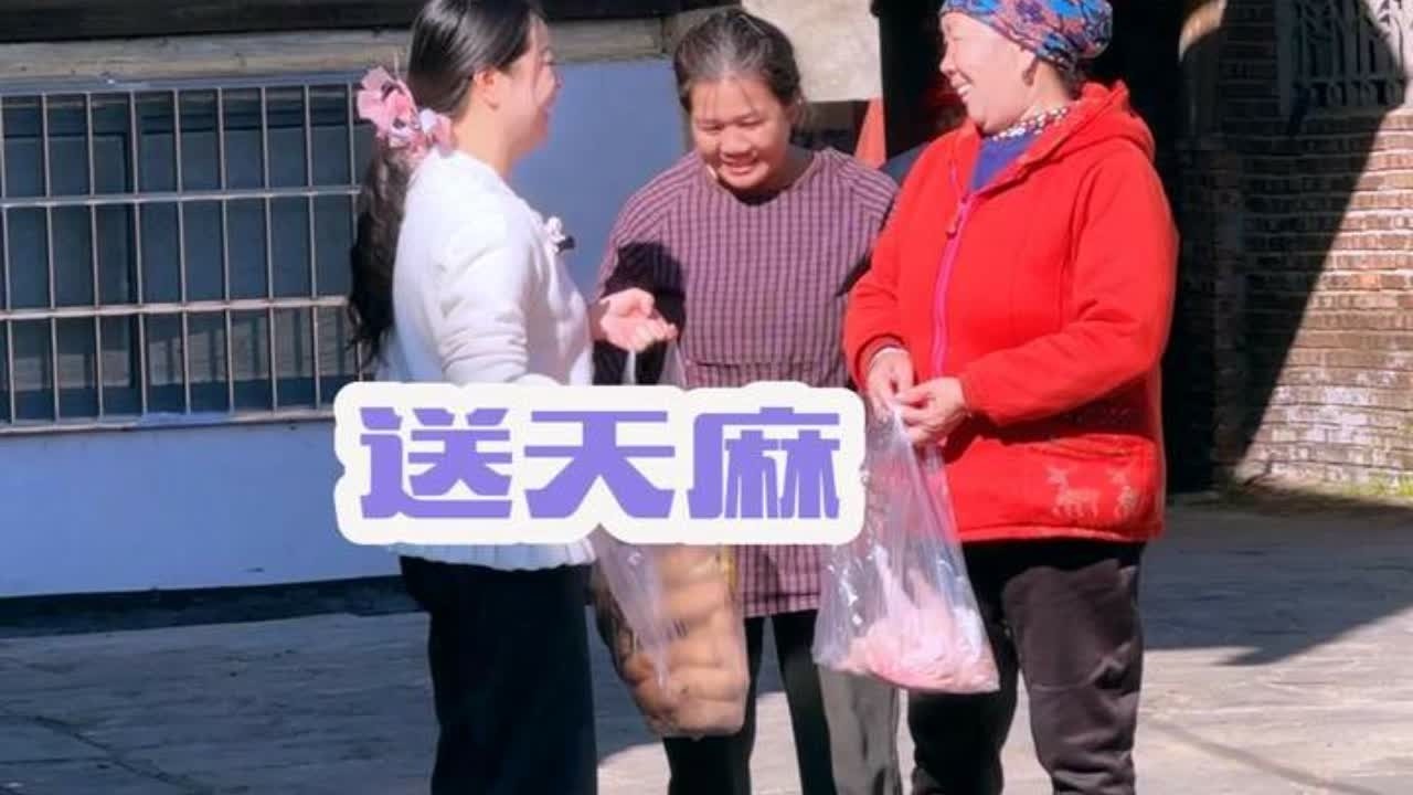 秋子每次回家都是急匆匆，又要回基地，再给村里老人送天麻和鸡 #三农 #农村 #我的乡村生活 #天麻