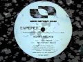 Kinky Roland - The Sound