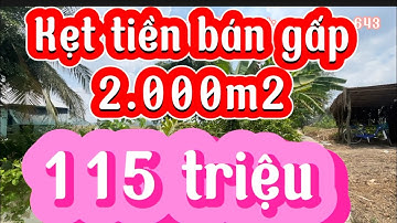 Kẹt tiền bán gấp 2.000m2 đất ruộng mặt tiền đường dal giá 115 triệu/1000m2 điện nước đầy đủ