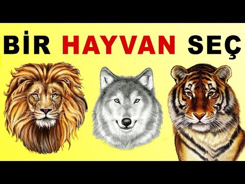 Video: En Aptal Hayvan Hangisidir