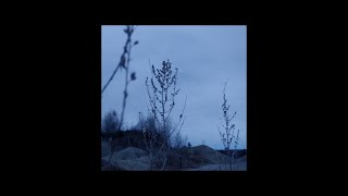 [FREE] BONES x Night Lovell Type Beat - amethyst