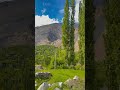 Thoi, Yasin Valley, Gilgit Baltistan🫀#yasinvalley #ghizervalley #shorts #viralshorts