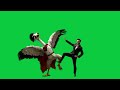 Man and ostrich are friends 4k green screen VFX