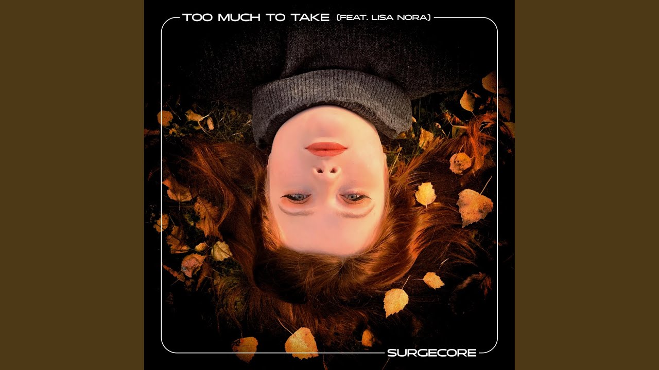 Too Much To Take (feat. Lisa Nora)
