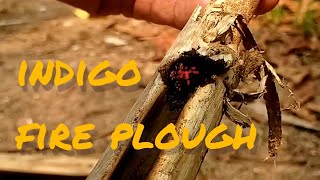 Fire plough with indigofera tinctoria
