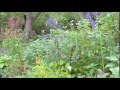 北山緑化植物園　2014,10,12 の動画、YouTube動画。