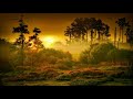 Relaxing music  10 beautiful piano music sleep music healing music from soothing relaxation 4