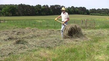 Haymaking 2016