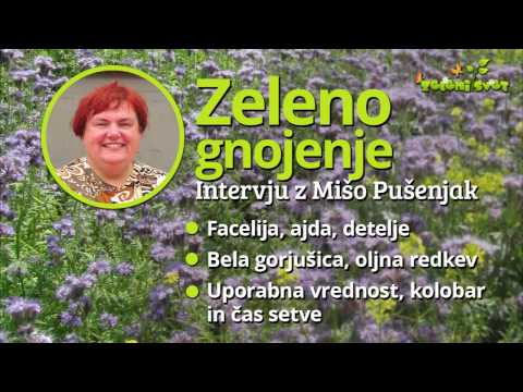 Video: Gnojilo za trto kivija - spoznajte gnojenje rastlin kivija