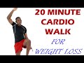 Cardio Walk for Weight Loss/ 20 Minute High Intensity Walking Workout