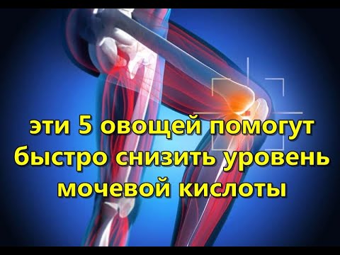 Измерить уровень мочевой кислоты в домашних условиях