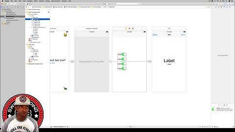 App Development with Swift Guided Project 3: Personality Quiz - Part 2