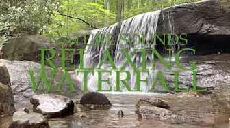 Relaxing Waterfall Soundscape 2 hours Water and Nature Sounds