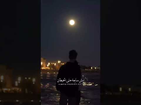 مش كده يا قلبي مرة وحدة ليلي طال طب خذني الشامي