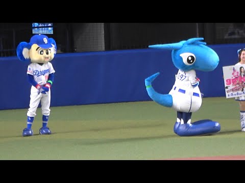 2023.06.02 ドアラとシャオパとの冷め切った関係。