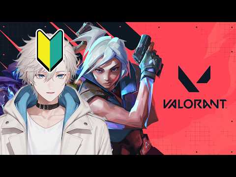 10キルを目指す24歳【Valorant】
