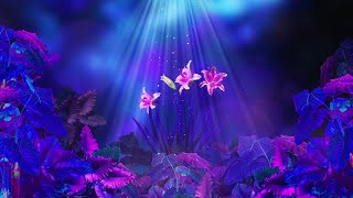 Kaleidoscope Purple flower Vj Loop Video | 4K Video | No Copyright Motion Background Video screenshot 2