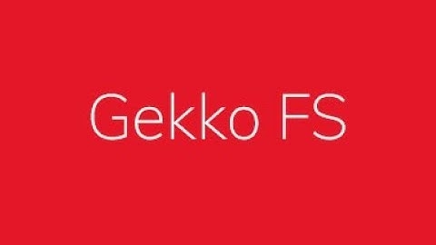 GekkoFS – A Temporary Burst Buffer File System for HPC Applications