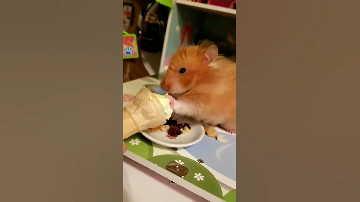 Sweet Tooth