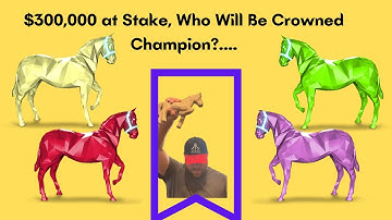 First Official Zed Run Tournament I How It Works and Is Zed Testing a New System?